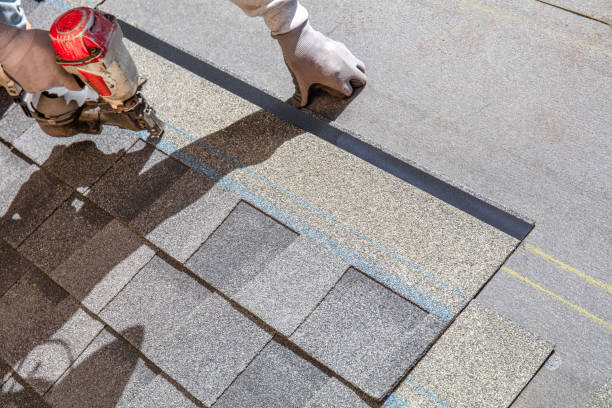 Best Roof Repair Services  in Middleport, NY
