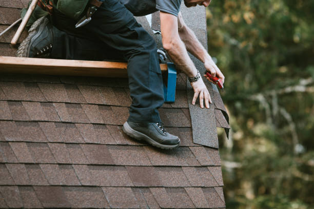 Best Roof Gutter Cleaning  in Middleport, NY